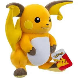 Pokémon Raichu