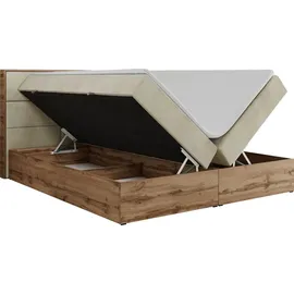 MKS Albero-2 120 x 200 cm H3 Beige