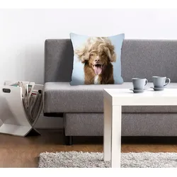 Dekokissen QUEENCE "Perry", braun (braun, bedruckt), B:40cm L:40cm, Polyester, Dekokissen_Sitzkissen_Kissenhüllen, mit einem Hund mit einer blonden Perücke