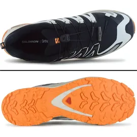 Salomon XA Pro 3D V9 GTX Herren Black/Vanilla Ice Turmeric 42