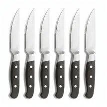 Comas Aconcagua Steakmesser 25,8 cm 6-tlg. Schwarz/Pakkaholz spülmaschinengeeignet