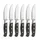 Comas Aconcagua Steakmesser 25,8 cm 6-tlg. Schwarz/Pakkaholz spülmaschinengeeignet