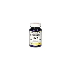 Hecht Pharma Chondroitinsulfat 200 mg Kapseln 60 St