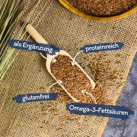 Lyra Pet Leinsamen Wildvögel 10 kg