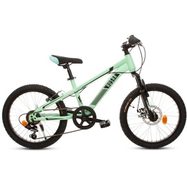 T&Y Trade 20 Zoll Kinder Jungen Mädchen Fahrrad Kinderfahrrad MTB Mountainbike Rad Bike Federgabel Gabelfederung 6 Shimano Gang Scheibenbremse Disk HUSAR GRÜN R015202