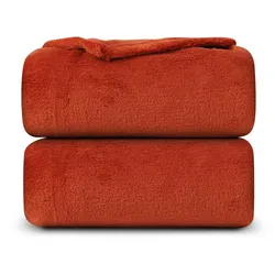 Bestlivings Kuscheldecke Mikrofaser Flausch 220x240cm - Terrabraun