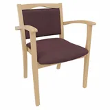 einrichtungsdesign24 Armlehnstuhl 4-Fußstuhl Holzstuhl mit Armlehnen Alexander Seniorenstuhl Esszimmer, Gestell aus Massivholz und stapelbar rot