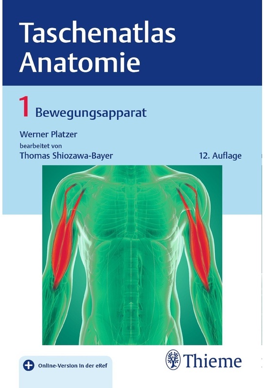 Taschenatlas Der Anatomie: 1 Taschenatlas Anatomie, Band 1: Bewegungsapparat - Werner Platzer, Thomas Shiozawa-Bayer, Kartoniert (TB)