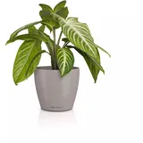 LECHUZA Pflanzgefäß Classico Color Ø 15 cm x 13,5 cm Single Sandbraun