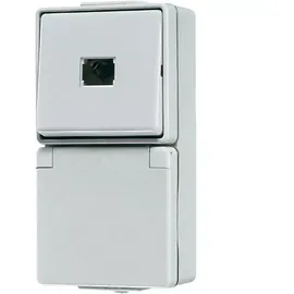 Jung Taster-/SCHUKO-Kombination 671W