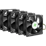 Inter-Tech 88887290 Computer Kühlkomponente Computergehäuse Ventilator 8 cm 4 Stück(e) Schwarz (88887290)