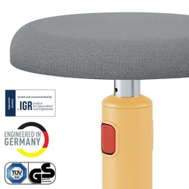 Leitz Ergo Cosy 65180019 grau, gelb,