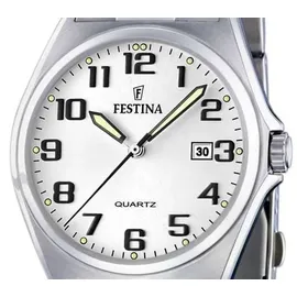 Festina Classic F16374/9