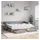 vidaXL Tagesbett 80 x 200 cm Schwarz