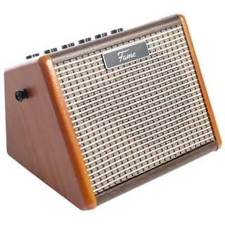 Fame AG-15A Akustikgitarren Verstärker 15 Watt | 2-Kanal | Akkubetrieben | Bluetooth-Schnittstelle | Echo-Effekt | Ideal für Gitarre und Gesang | Leicht und Tragbar