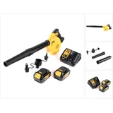 DeWalt DCV 100 M2 inkl. 2 x 4,0 Ah + Ladegerät