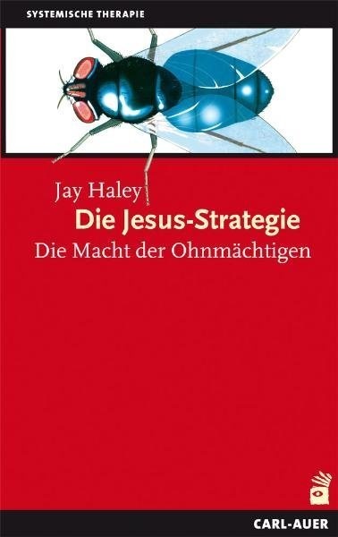 Die Jesus-Strategie - Jay Haley  Kartoniert (TB)