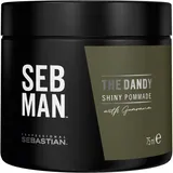 Sebastian Professional Seb Man The Dandy Pomade 75 ml