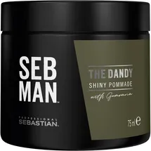 Sebastian Professional Seb Man The Dandy Pomade 75 ml