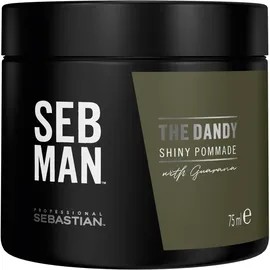 Sebastian Professional Seb Man The Dandy Pomade 75 ml