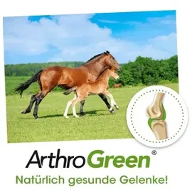 cdVet ArthroGreen Horse 700 g