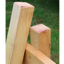 Robinienpfahl 6 x 6 x 100 cm – Holzpfahl aus Robinie, naturbelassen – praktischer Zaunpfahl für Zäune & den kreativen Garten