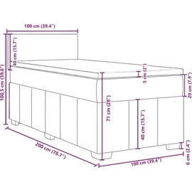 vidaXL Boxspringbett 100 x 200 cm Blau