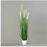 Seidenblumen Roß Pampasgras im weißen Dekotopf DP Dekogras Kunstgras künstliches Gras Kunstpflanzen (150cm)