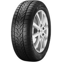 Platin RP-60 Winter 225/50 R17 98H