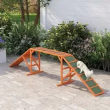 PawHut Hunde Agility Steg Agility-Ausrüstung für Hunde mit Sicherheitsstange, rutschfeste Oberfläche Agility-Gerät für Garten, Orange