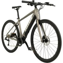 TOTEM Urban E-Bike Fitness 28 Zoll RH 48 cm Unisex platin