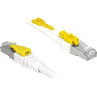 DeLock Patch-Kabel RJ-45 Secure - - (M)