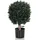 bümö Bümö, Kunstpflanzen, Kunstpflanze Buchsbaum (buxus) (65 cm)