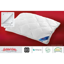 fan Frankenstolz Schlaf-Gut Lyocell Microfaser Bettdecke Frühjahr Sommer Herbst Winter Steppbett Weiß 135x200 cm waschbar Germany - Weiß