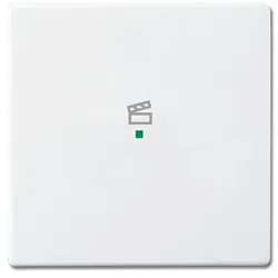 Busch-Jaeger Wippe 6233-10-84 1fach Symbol Szene studioweiß