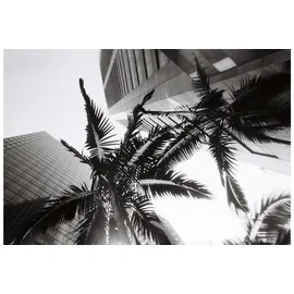 Lomography Simple Use Kamera Black White