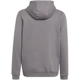 Adidas Entrada 22 Hoodie Kinder tegrfo 152