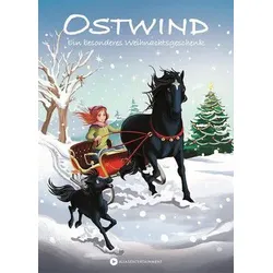 Ein besonderes Weihnachtsgeschenk - Ostwind für Erstleser (Bd. 15)