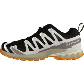 Salomon XA Pro 3D V9 GTX Herren Black/Vanilla Ice Turmeric 42