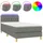 vidaXL Boxspringbett mit Matratze & LED Dunkelgrau 100x200 cm Stoff
