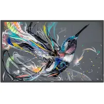 Philips Q-Line 55BDL3650Q 55" schwarz