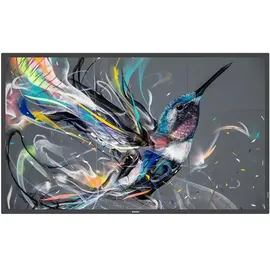 Philips Q-Line 55BDL3650Q 55" schwarz