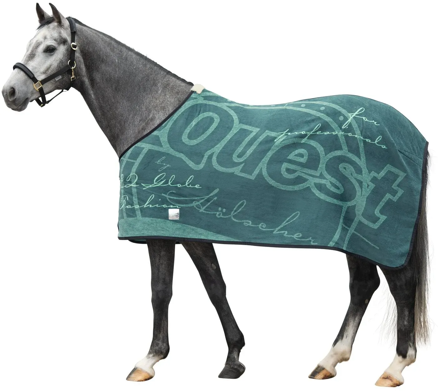 EQUEST Dralondecke Globe petrol 155 cm