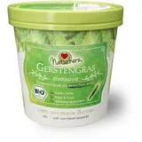 Gerstengras Bio Feinpulver - Das Original aus Deutschland