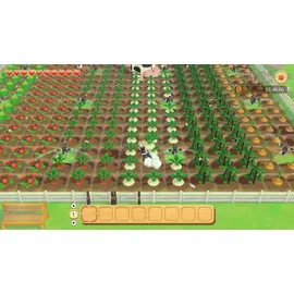 Story of Seasons Pioneers of Olive Town Nintendo Switch