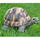 dazikemo Dekofigur Gartenfigur Teichfigur Schildkröte