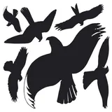 Zweckform 6 AVERY Zweckform Hinweisaufkleber Warnvögel Vogel 7,6 x 12,0 cm