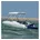 Bimini-Top 183x 170-182 x137 600D Polyester Schwarz/Weiß