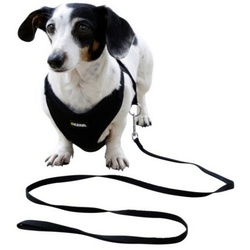 Kerbl Hunde-Geschirr Welpengeschirr schwarz 30 cm - 50 cm 80678