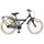 vidaXL Kinderfahrrad 18 Zoll schwarz